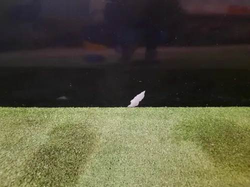 Porta ANT DX 52136362 Fiat 500 II 2008