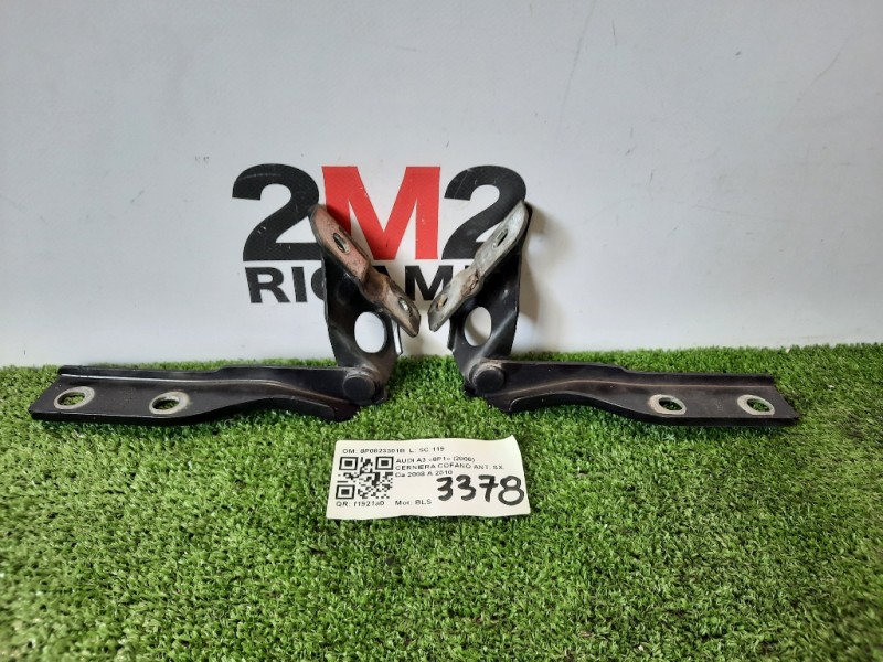 Cerniera Cofano ANT SX 8P0823301B Audi A3 8P1 2008
