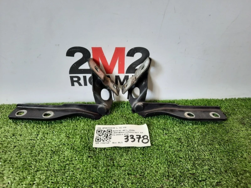 Cerniera Cofano ANT SX 8P0823301B Audi A3 8P1 2008