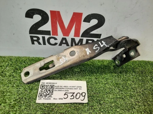 Cerniera Cofano ANT SX 8E0823301F Audi A4 8ED Avant 2005