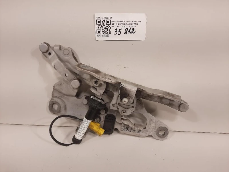 Cerniera Cofano ANT SX 7249887-09 Bmw Serie 5 F10 Berlina 2010