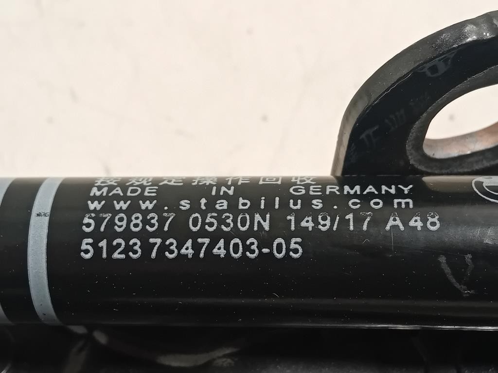 Cerniera Cofano ANT SX 734740751237347403 Bmw Serie 5 G30 Berlina 2016