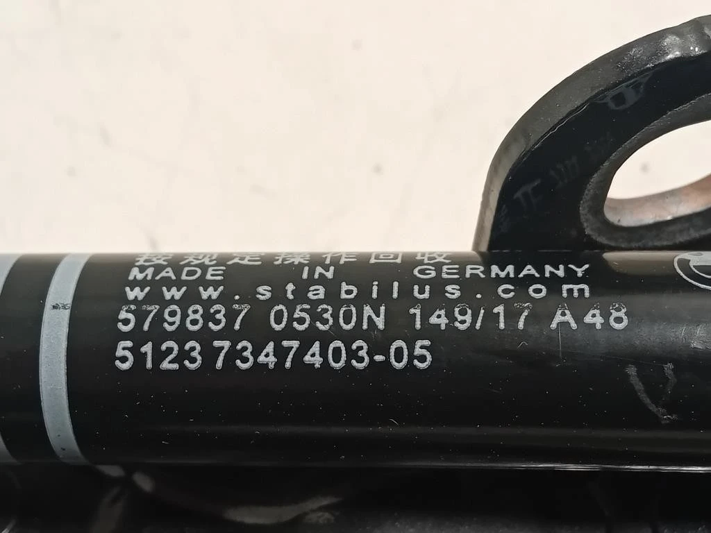 Cerniera Cofano ANT SX 734740751237347403 Bmw Serie 5 G30 Berlina 2016