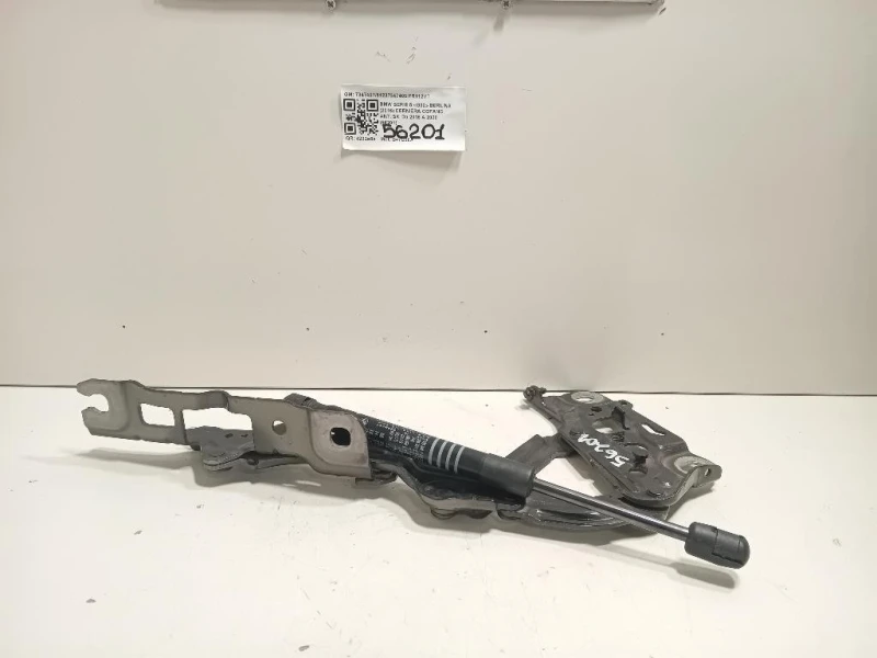 Cerniera Cofano ANT SX 734740751237347403 Bmw Serie 5 G30 Berlina 2016