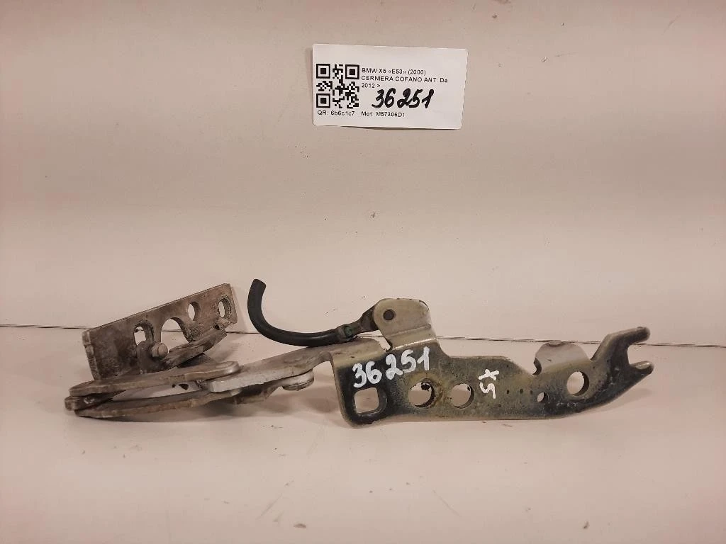Cerniera Cofano ANT SX CERNIERA COFANO ANT SX Bmw X5 E53 2000