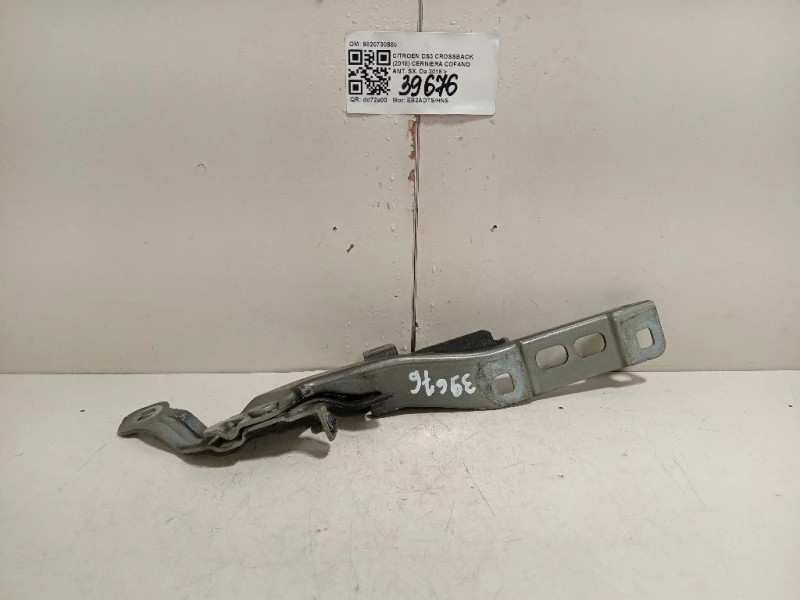 Cerniera Cofano ANT SX 9820730880 Citroen DS3 Crossback 2018