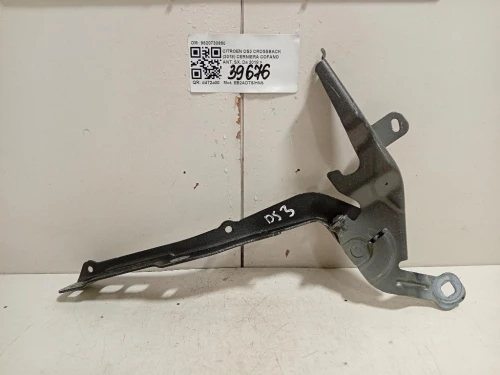 Cerniera Cofano ANT SX 9820730880 Citroen DS3 Crossback 2018