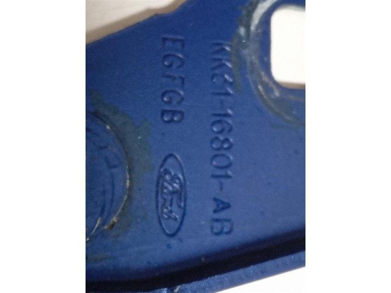 Cerniera Cofano ANT SX KK31-16801-AB Ford Transit Custom I 2013