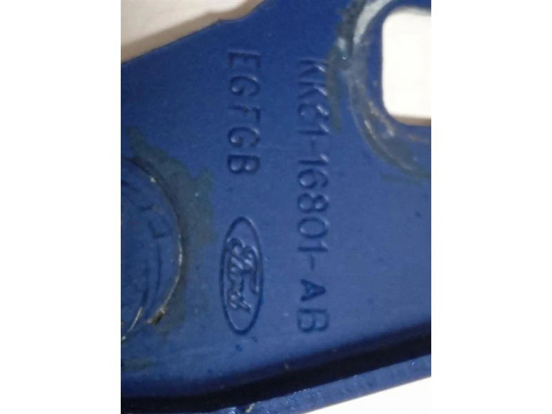 Cerniera Cofano ANT SX KK31-16801-AB Ford Transit Custom I 2013