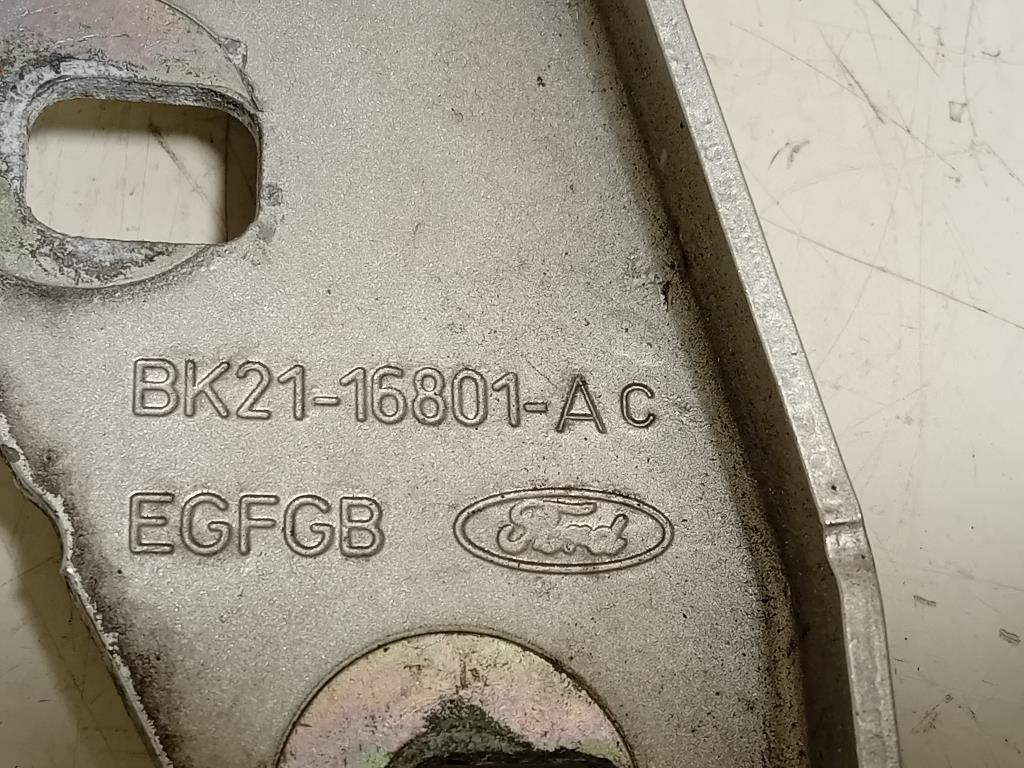 Cerniera Cofano ANT SX BK21-16801-AC Ford Transit Custom I 2013