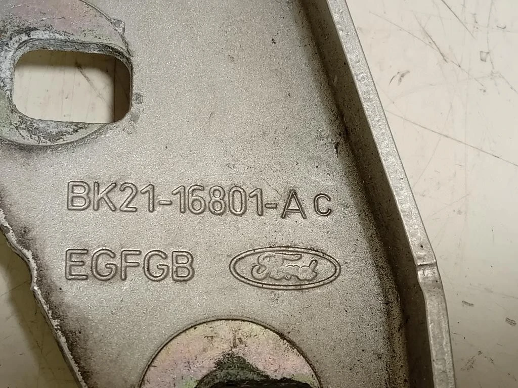 Cerniera Cofano ANT SX BK21-16801-AC Ford Transit Custom I 2013