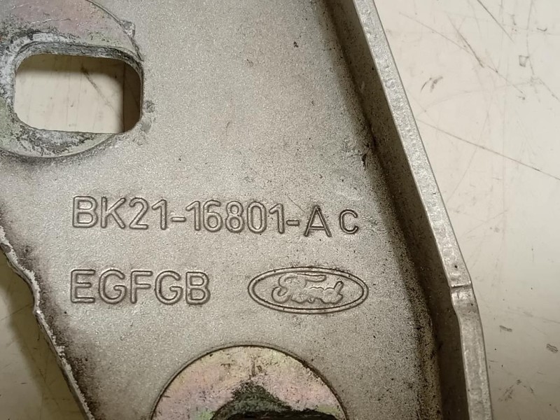 Cerniera Cofano ANT SX BK21-16801-AC Ford Transit Custom I 2013