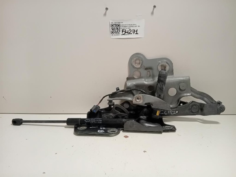 Cerniera Cofano ANT SX J9C316801AA Jaguar E-pace 2017