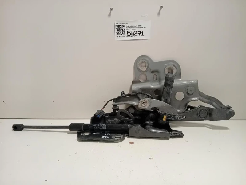 Cerniera Cofano ANT SX J9C316801AA Jaguar E-pace 2017