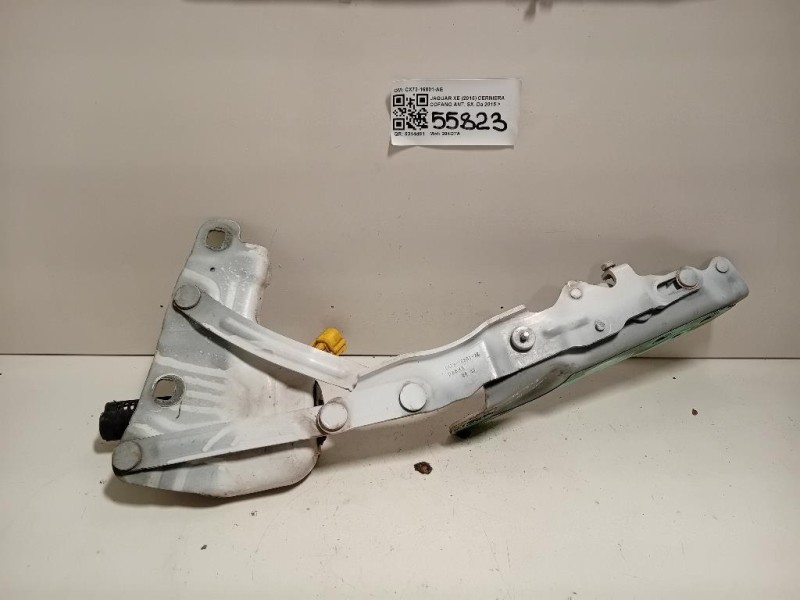Cerniera Cofano ANT SX CX73-16801-AE Jaguar XE 2015