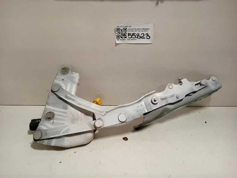 Cerniera Cofano ANT SX CX73-16801-AE Jaguar XE 2015