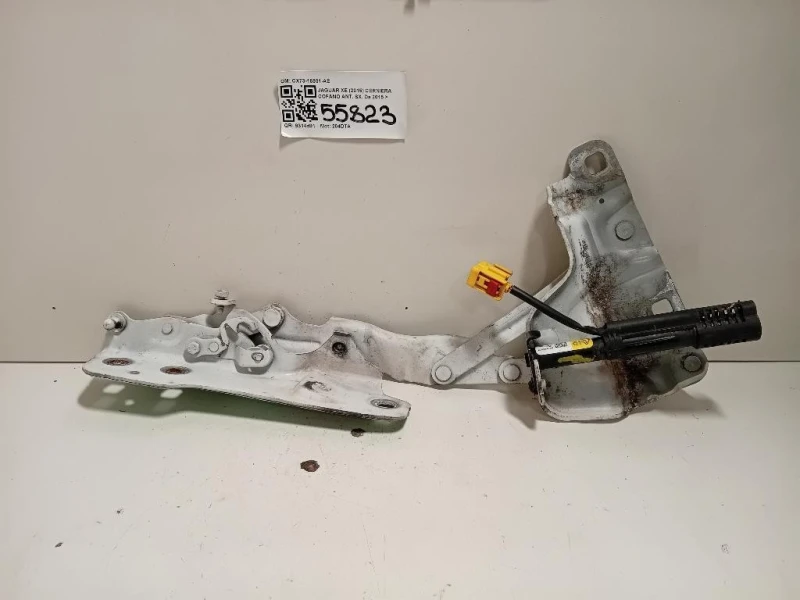 Cerniera Cofano ANT SX CX73-16801-AE Jaguar XE 2015