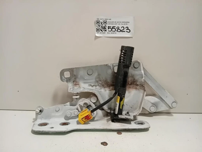 Cerniera Cofano ANT SX CX73-16801-AE Jaguar XE 2015