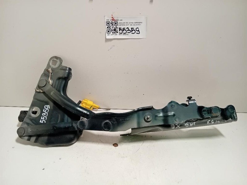 Cerniera Cofano ANT SX GX73-16801-AF Jaguar XE 2015