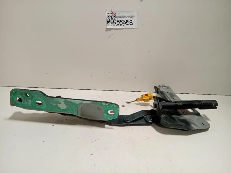 Cerniera Cofano ANT SX GX73-16801-AF Jaguar XE 2015