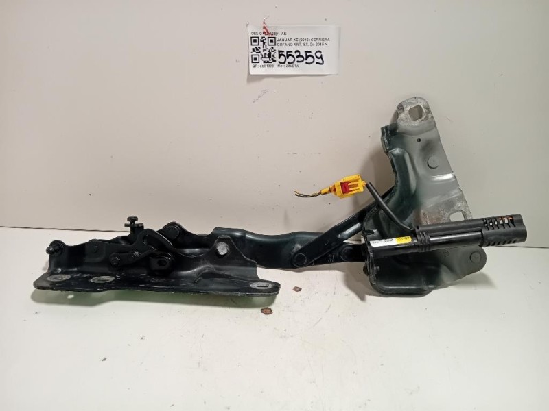 Cerniera Cofano ANT SX GX73-16801-AF Jaguar XE 2015