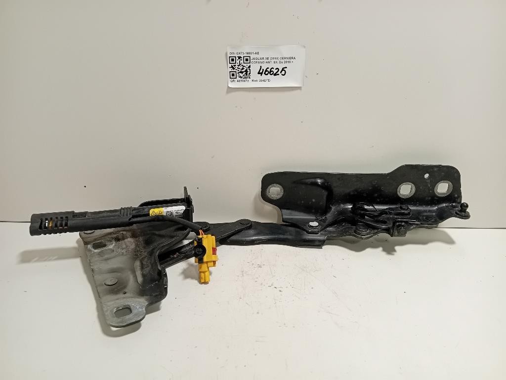 Cerniera Cofano ANT SX GX73-16801-AE Jaguar XE 2015