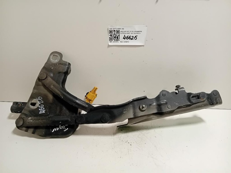 Cerniera Cofano ANT SX GX73-16801-AE Jaguar XE 2015