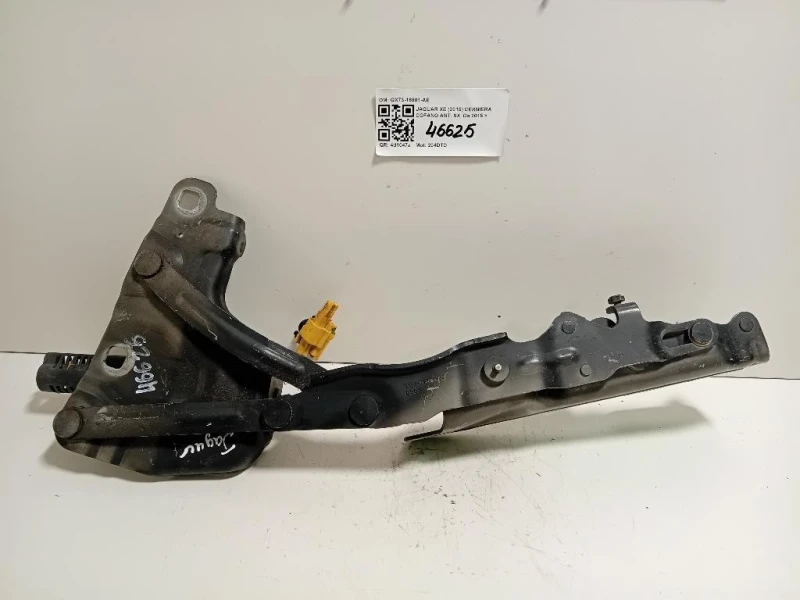 Cerniera Cofano ANT SX GX73-16801-AE Jaguar XE 2015
