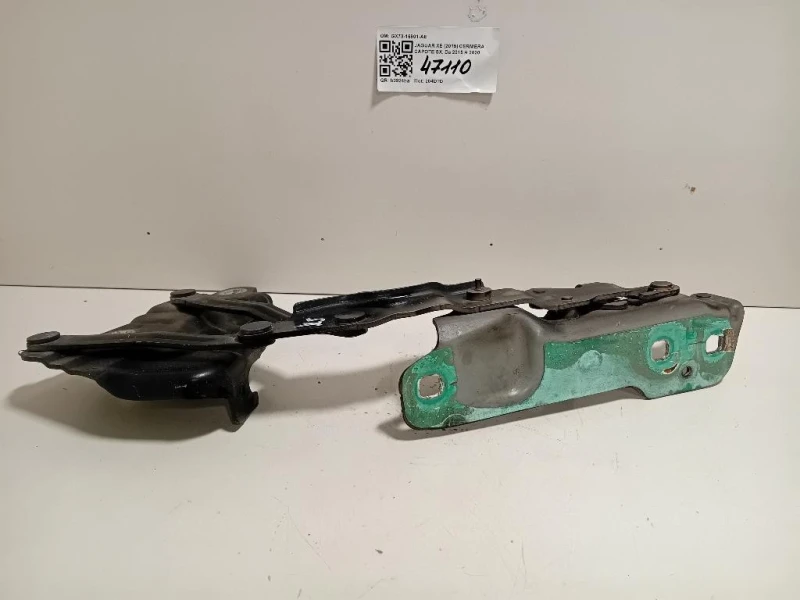 Cerniera Cofano ANT SX GX73-16801-AE Jaguar XE 2015