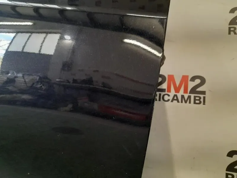 Porta ANT DX 1691841 Ford Fiesta VI 2008