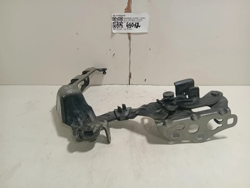 Cerniera Cofano ANT SX A2058800828 Mercedes Classe C W205 2014