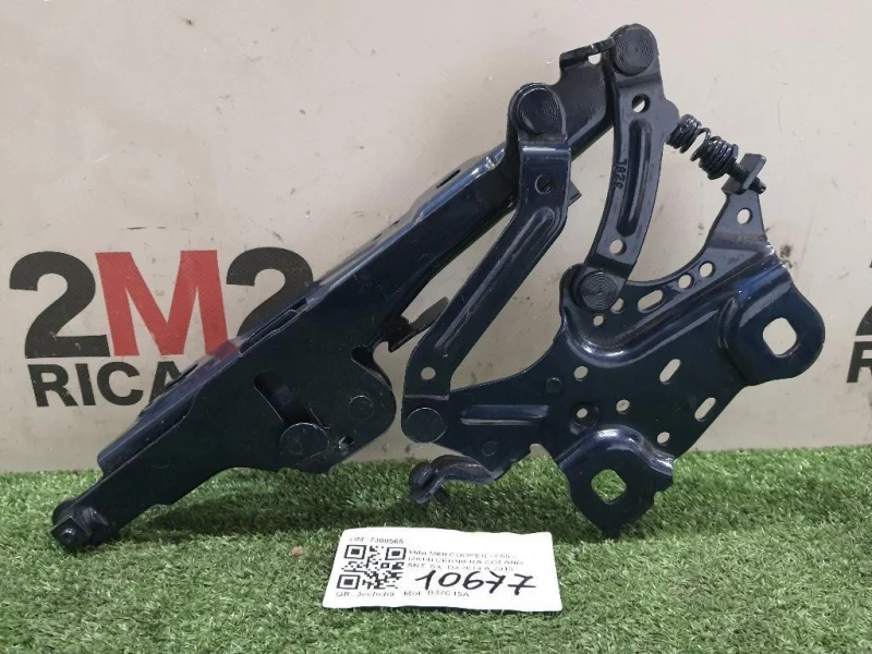 Cerniera Cofano ANT SX 7300565 Mini MINI Cooper F55 2014