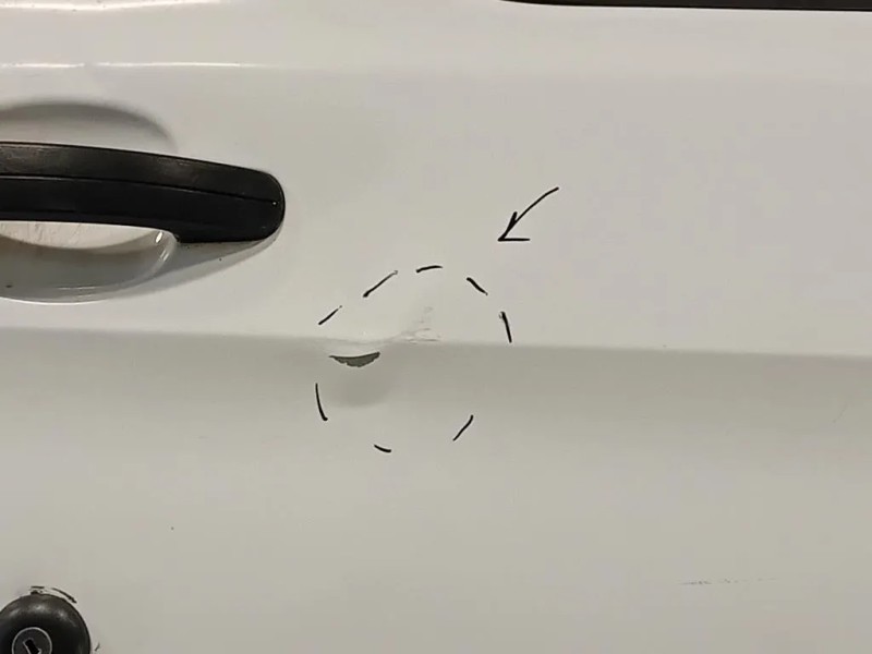 Porta ANT DX 2445429 Ford Transit Custom I 2013