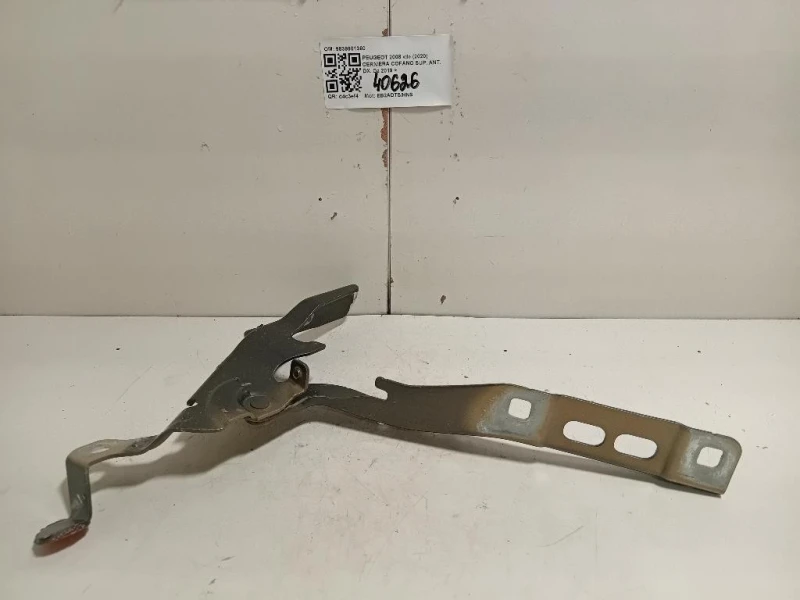 Cerniera Cofano SUP ANT DX 9839901380 Peugeot 2008 II 2020