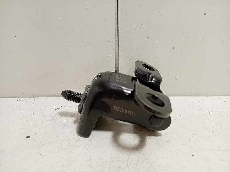 Cerniera Portello POST DX 9801087880 Peugeot 2008 I 2016