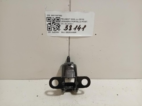 Cerniera Portello POST DX 9801087880 Peugeot 2008 I 2016