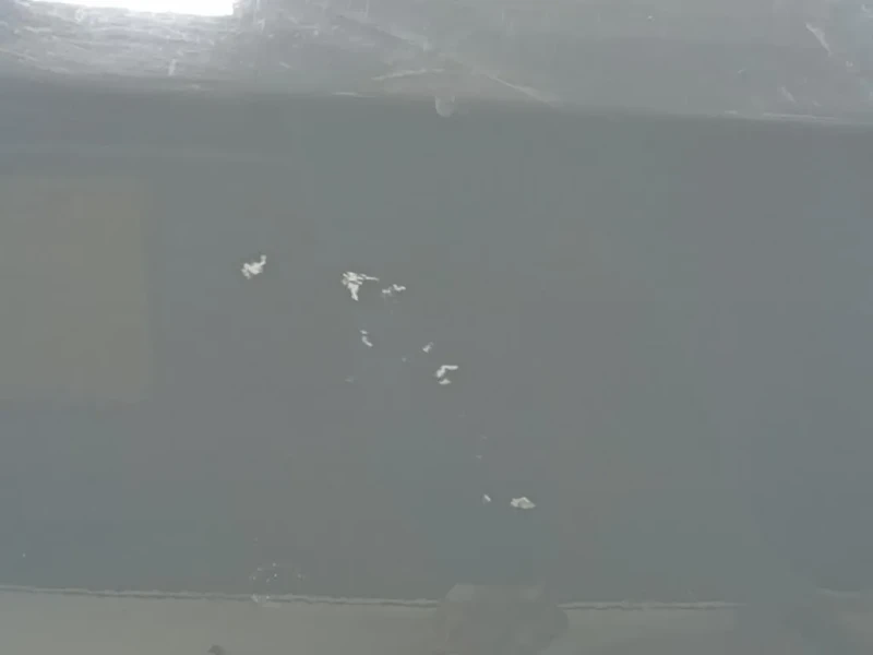 Porta ANT DX 52051447 Jeep Renegade 2015