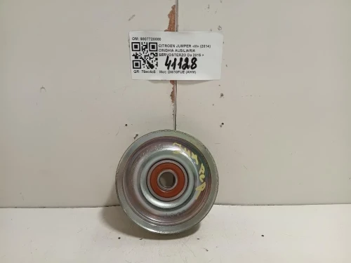 Cinghia Ausiliaria Servosterzo 9807720080 RULLO DEVIAZIONE CINGHIA Citroen Jumper III 2014