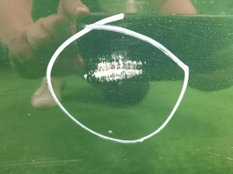 Porta ANT DX 41002755936 Mini MINI Cooper R56 2007