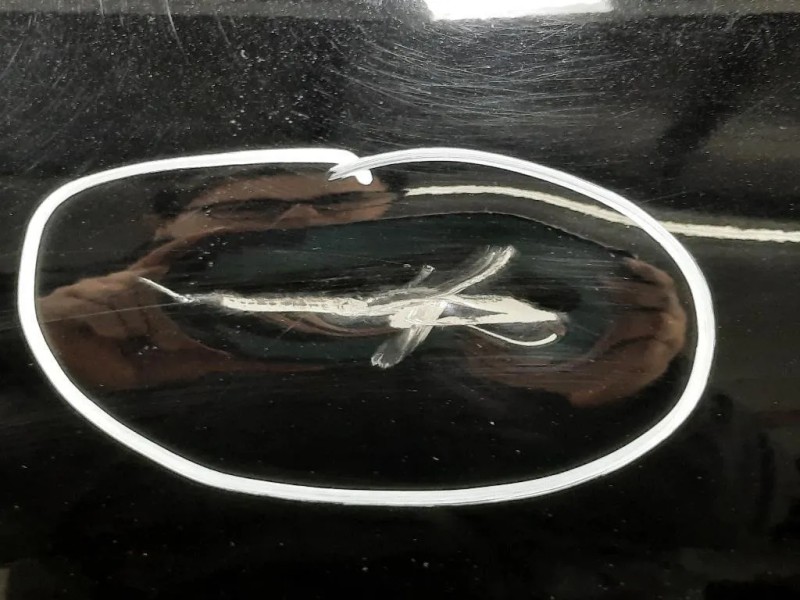 Porta ANT DX 41007327446 Mini MINI ONE F55 2014