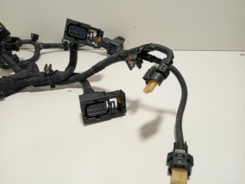 Cablaggio 2517256425 Nissan Qashqai II 2014