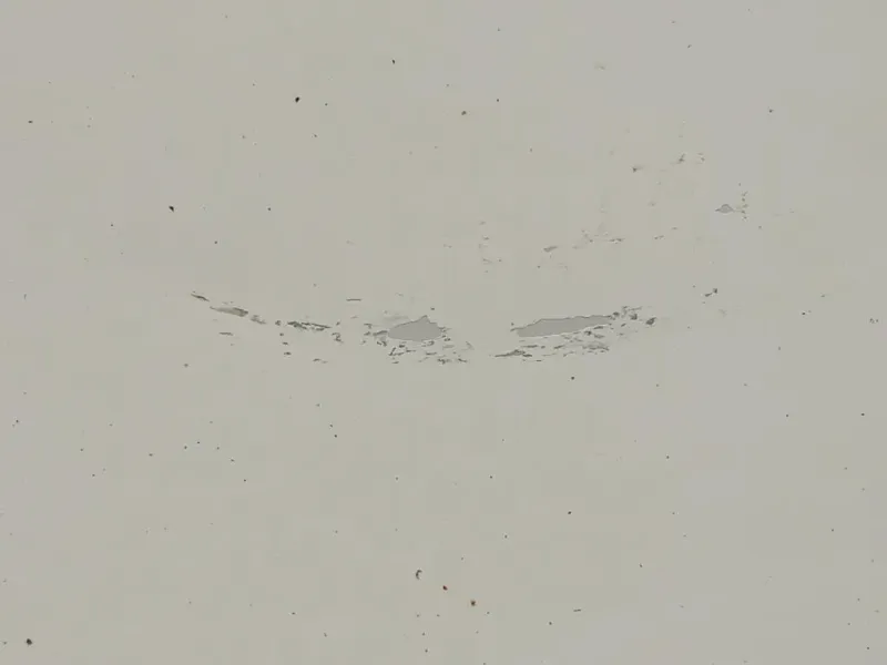 Porta ANT DX 95531021 Opel Vivaro B 2015