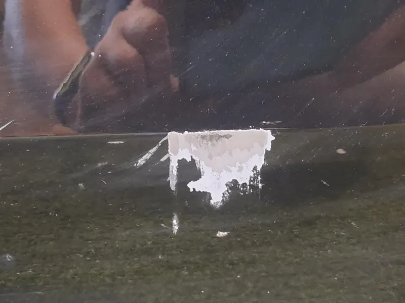 Porta ANT DX A4537201601 Smart Forfour 453 2015