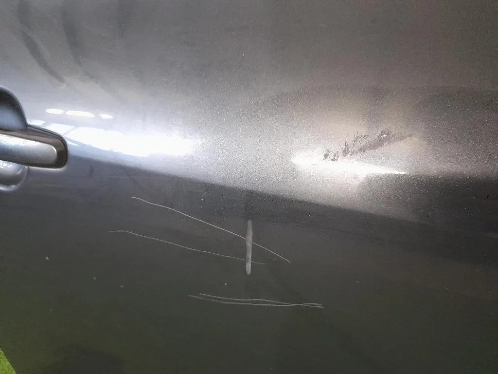 Porta ANT DX NUDA 6700142120 Toyota RAV 4 III 2006