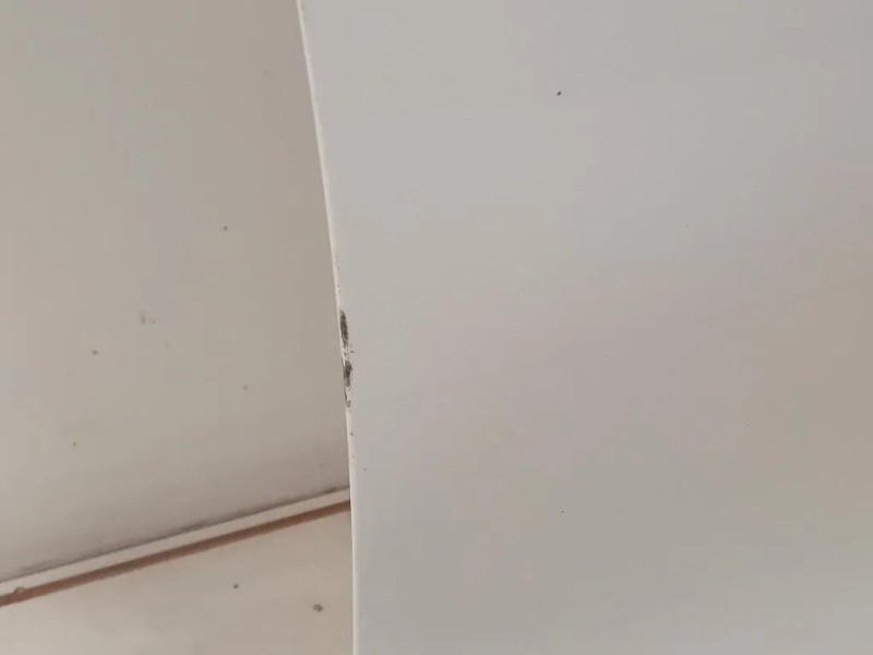 Porta ANT DX 5K4831056H Volkswagen GOLF VI 2009