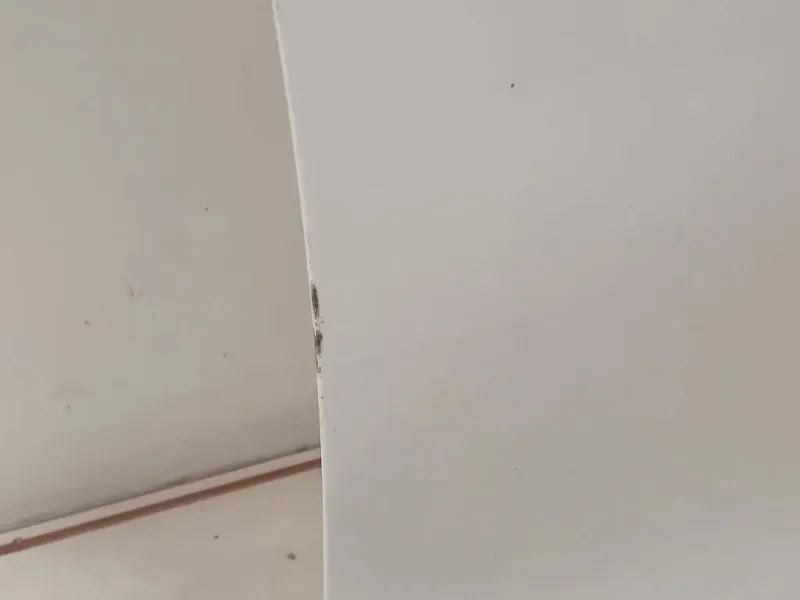 Porta ANT DX 5K4831056H Volkswagen GOLF VI 2009