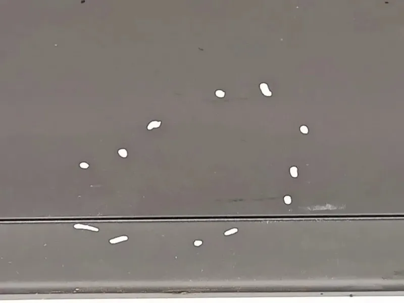 Porta ANT DX 3C4831056J Volkswagen Passat V 2005