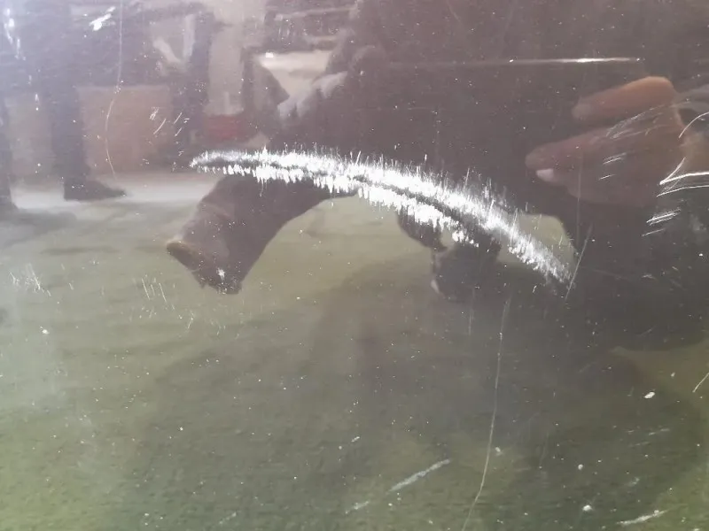 Porta ANT SX 50509245 Alfa Romeo Giulietta 2010