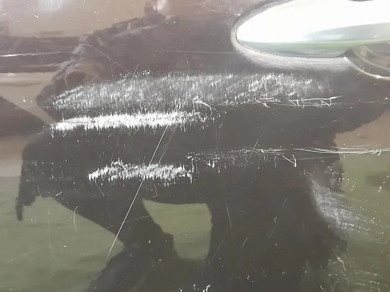 Porta ANT SX 50509245 Alfa Romeo Giulietta 2010