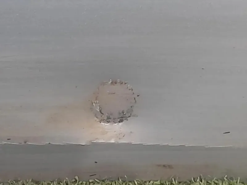 Porta ANT SX 8J0831051A Audi TT 8J3 2007